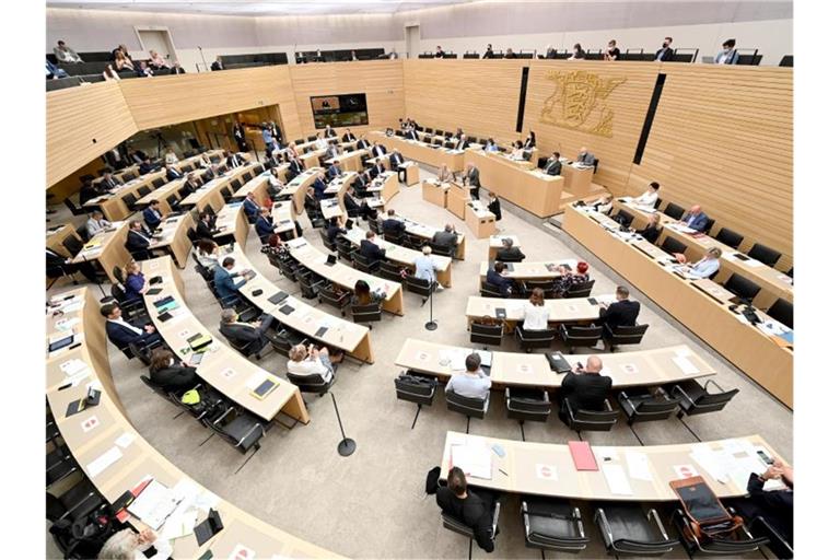 Abgeordnete während einer Plenarsitzung im Landtag. Foto: Bernd Weißbrod/dpa