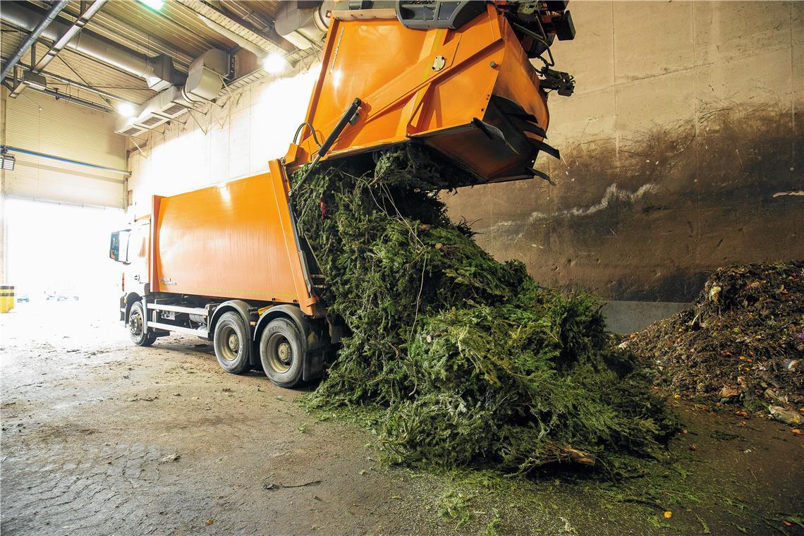 AWRM-l-sst-Christb-ume-abholen