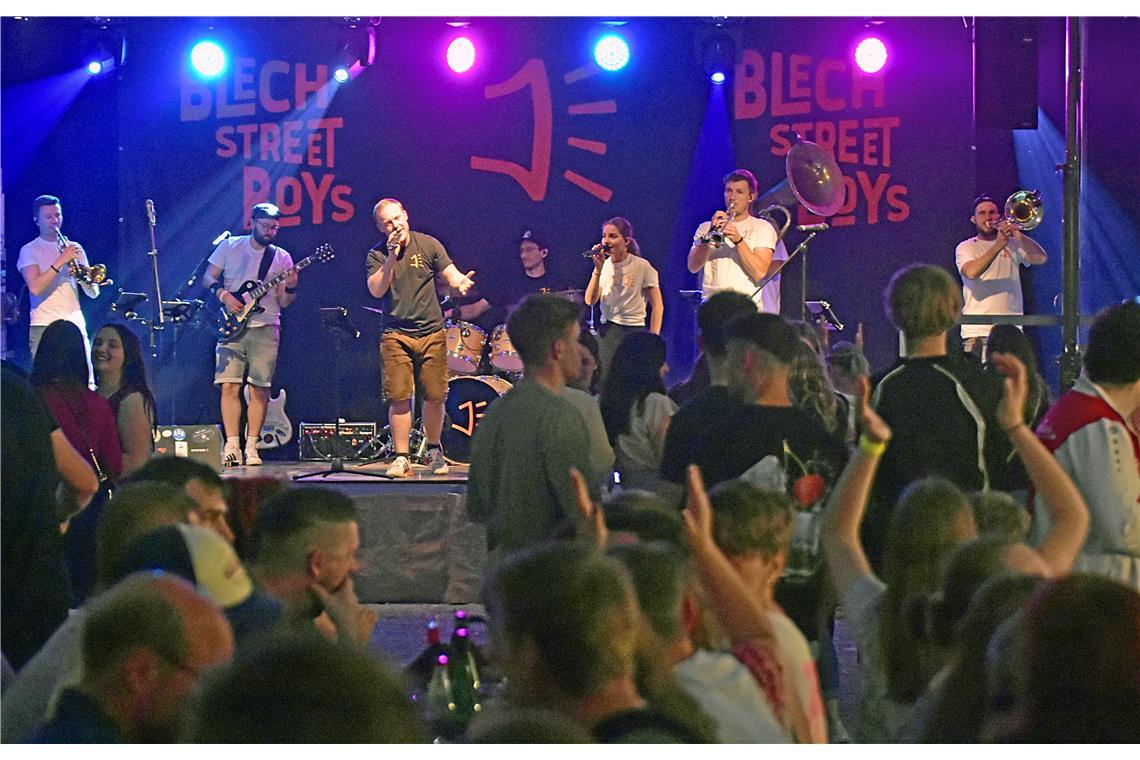 Acht Musiker und eine Sängerin heizen dem Publikum ein.