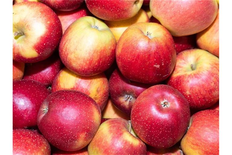 Äpfel liegen einem Lager eines Apfelanbaubetriebs in Rheinland-Pfalz. Foto: Sebastian Gollnow/dpa