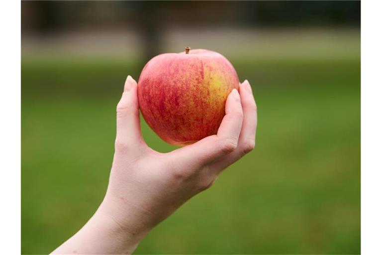 Äpfel sind nicht nur gesund, sondern spielen auch in der Kulturgeschichte eine große Rolle. Foto: Annette Riedl/dpa
