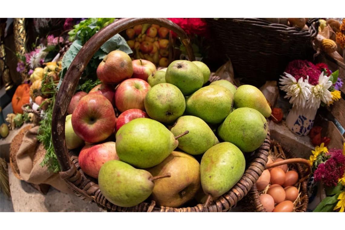Äpfel und Birnen sind sprichwörtlich nicht zu vergleichen. Dabei führen Vergleiche erst zur Erkenntnis.