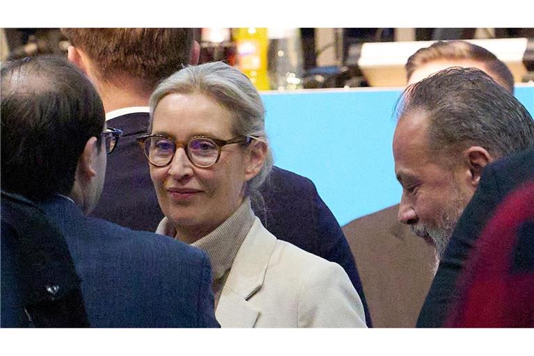 AfD-Chefin Alice Weidel: Die neue AfD-Jugendorganisation soll "Kaderschmiede" sein.