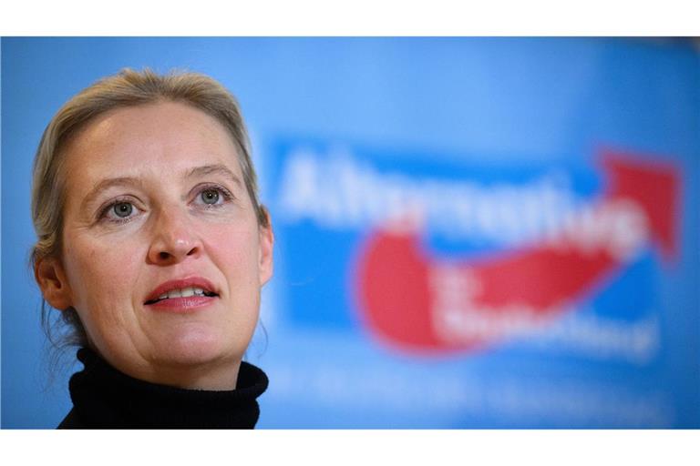 AfD-Chefin Alice Weidel kritisiert Donald Trumps Kommunikation (Archivbild)