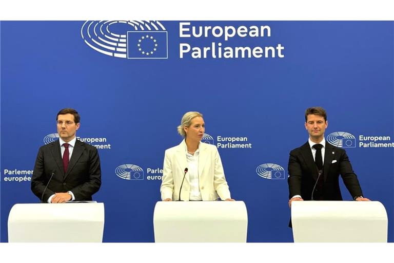 AfD-Chefin Alice Weidel präsentierte in Straßburg ein Papier ihrer Partei zur Zukunft der EU. Sie will den Aufstieg extrem rechter Kräfte nutzen, um den Einfluss von Brüssel zurückzudrängen. Flankiert wird Weidel von den AfD-Europa-Abgeordneten René Aust (rechts) und Alexander Sell.