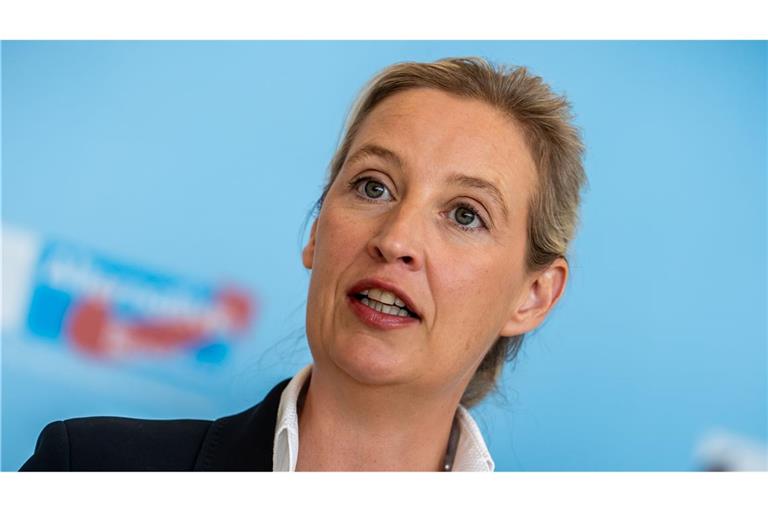 AfD-Chefin Weidel kann sich über gute Umfragewerte freuen. (Archivbild)