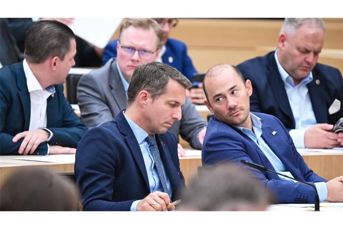 AfD-Fraktion im Landtag - sie erhielt bei einer Reihe von Wahlen mehr Stimmen, als sie Sitze hat. Wer trägt dafür die Verantwortung?