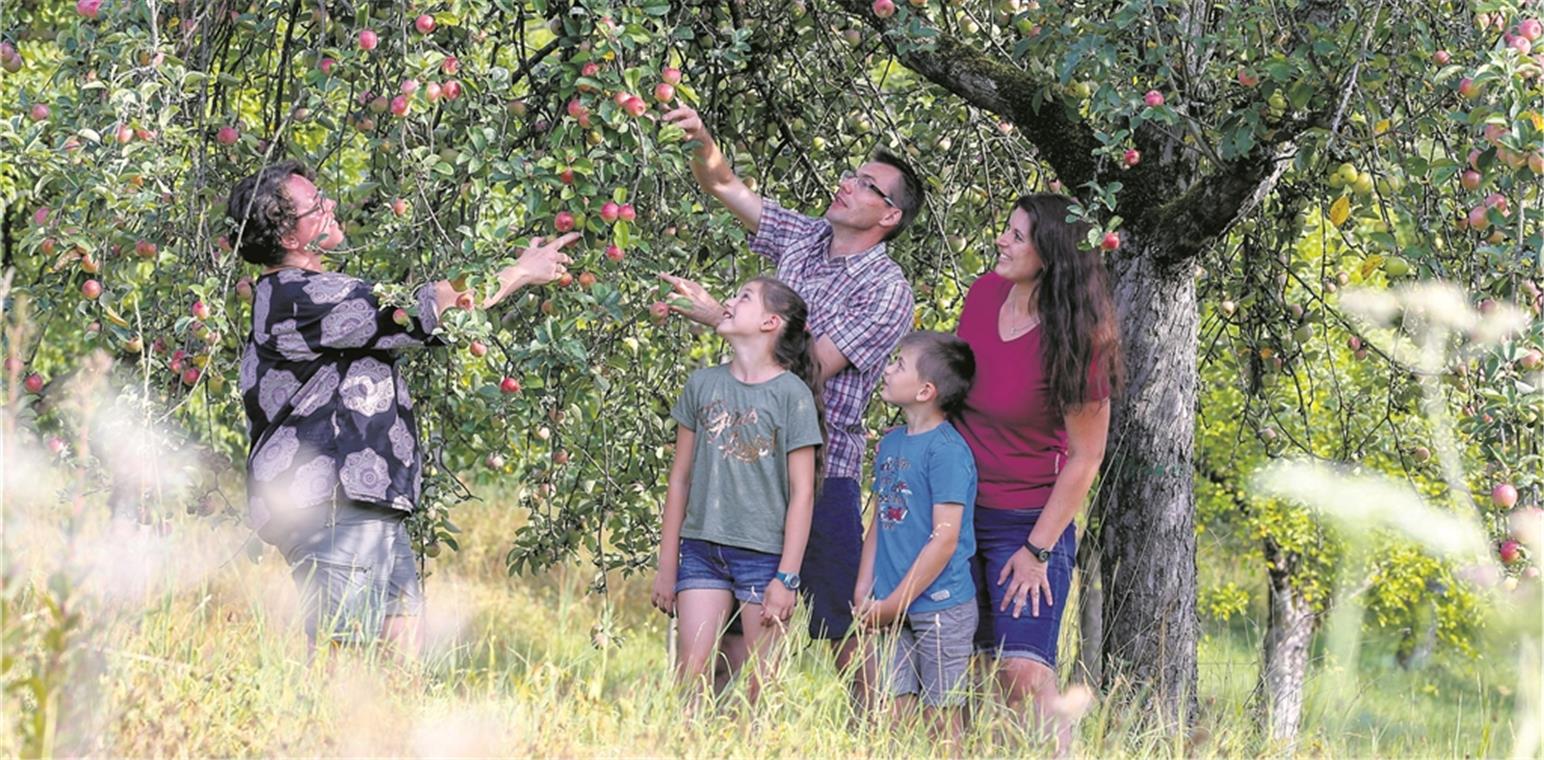 „Die Wertschätzung ist nicht mehr da“ Akteure im Streuobstbau: Ulrich und Kerstin Meister mit ihren Kindern besichtigen zusammen mit Mostviertel-Geschäftsführerin Claudia Schimke (links) Anlagen bei Däfern. Fotos: A. Becher