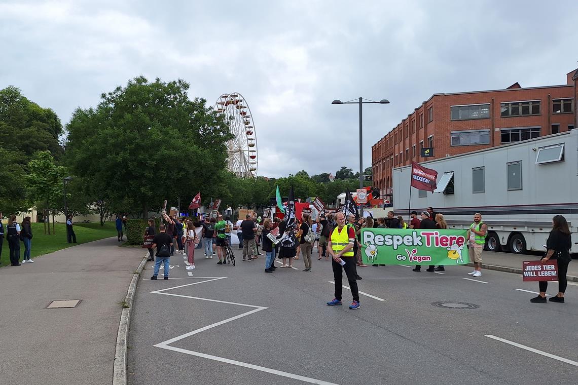 Aktuell (Stand 14.50 Uhr) ist der Demonstrationszug in der Annonaystraße unmittelbar vor dem Rummel. Foto: privat