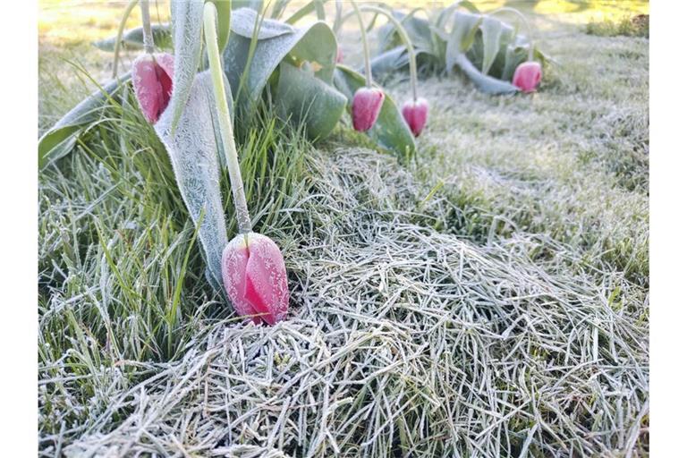 Aktuelle Wetterprognosen für Deutschland: Frost, Regen und Schnee prägen die kommenden Tage. Lesen Sie hier, welche Regionen betroffen sind und wie sich das Wetter entwickelt.