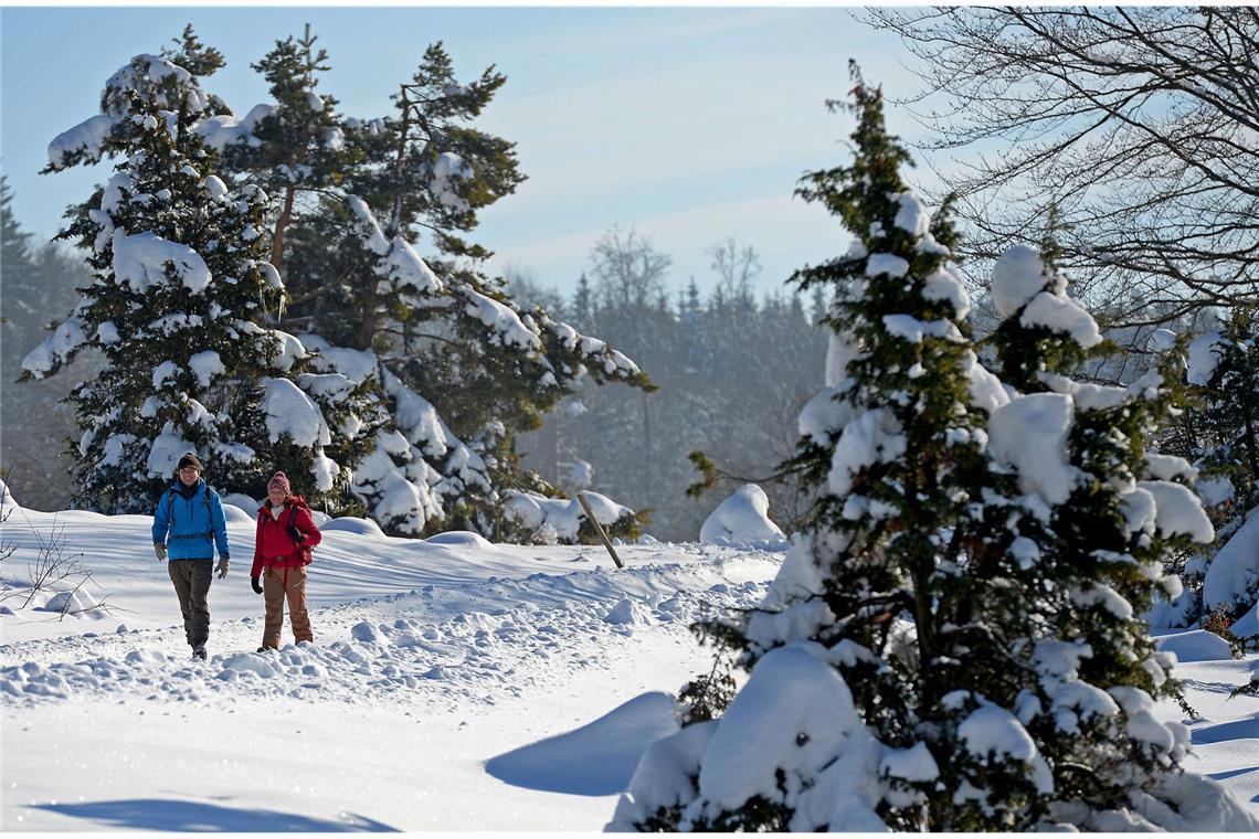Alb und Schwarzwald haben auch diesen Winter schon Schnee abbekommen. (Archivbild)