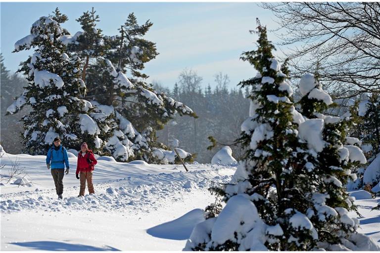 Alb und Schwarzwald haben auch diesen Winter schon Schnee abbekommen. (Archivbild)