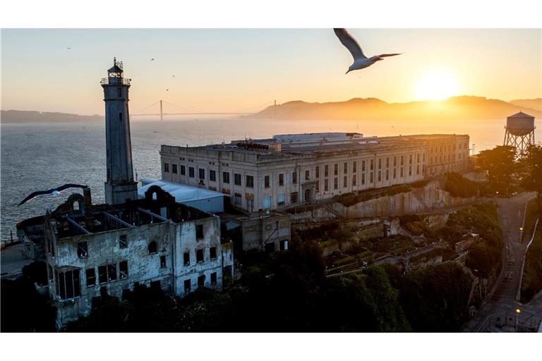 Alcatraz-Gefängnis: Ein Vogel fliegt über Alcatraz Island in der Bucht von San Francisco. US-Präsident Trump will das berüchtigte Gefängnis Alcatraz wieder in Betrieb nehmen und dort künftig Schwerverbrecher unterbringen.
