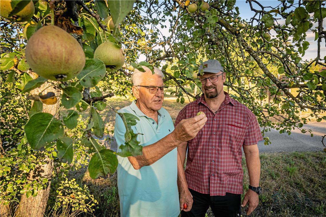 Alfred Binder (links) und Kurt Tanneberger kümmern sich um das Pfarrgütle in Rietenau. Dort gibt es viele Obstsorten zu entdecken, unter anderem den Rietenauer Sämling. Foto: Alexander Becher