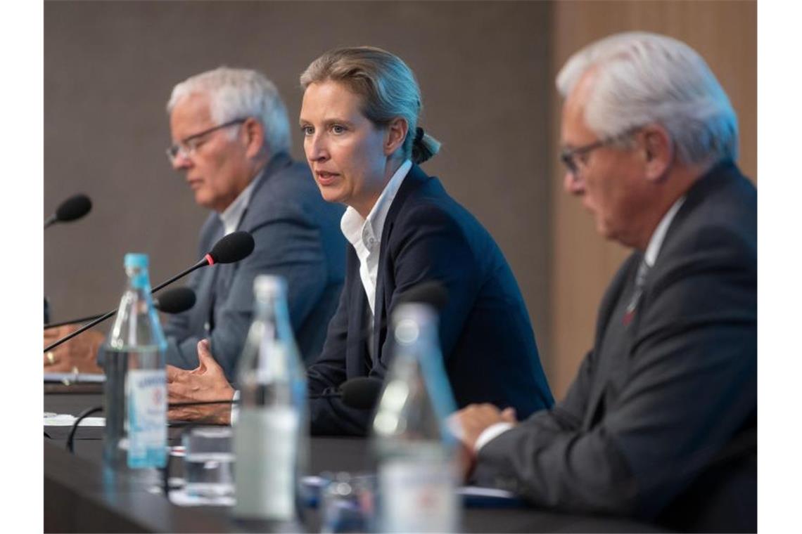 Alice Weidel (AfD) nimmt an einer Pressekonferenz teil. Foto: Marijan Murat/dpa