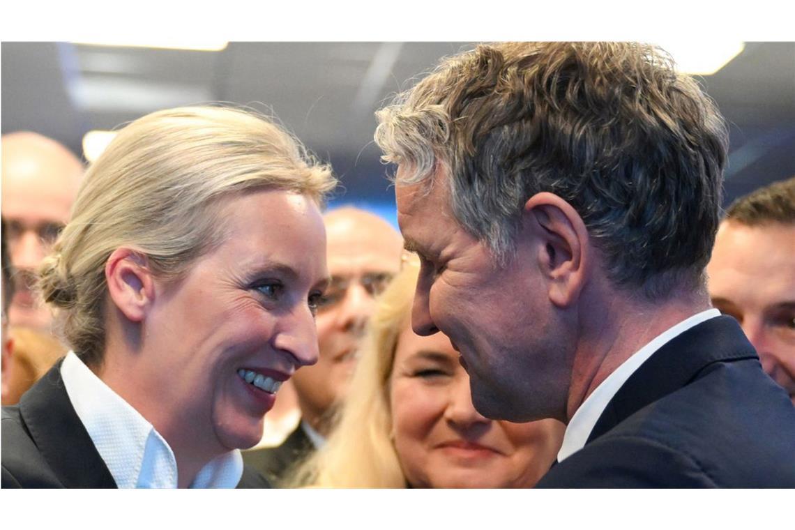 Alice Weidel, Bundesvorsitzende  der AfD, und Björn Höcke (AfD-Landesvorsitzender in Thüringen) werden in dem Gutachten ausdrücklich erwähnt (Archivbild).