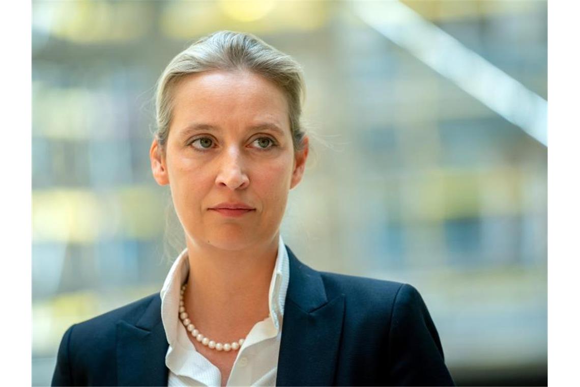 Strafzahlung für Weidel-Spende: AfD scheitert vor Gericht Alice Weidel, Fraktionsvorsitzende der AfD. Foto: Kay Nietfeld/dpa