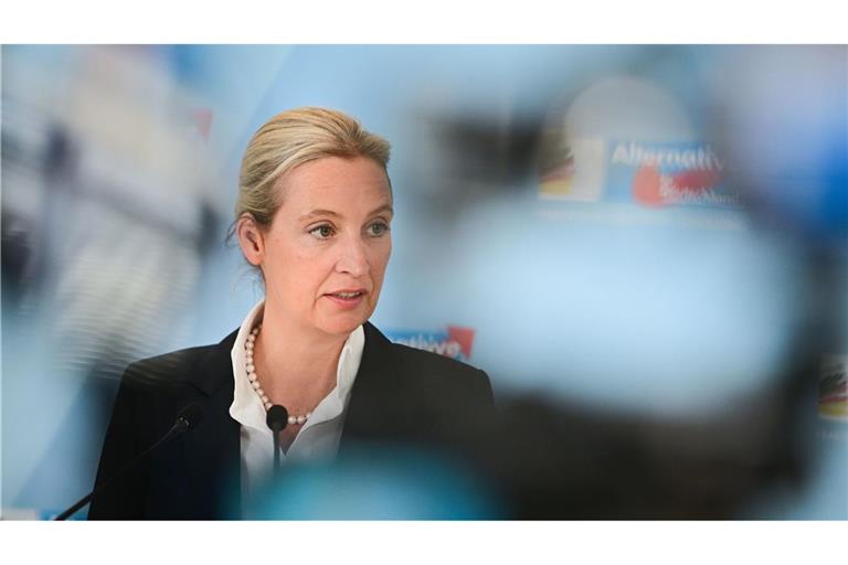 Alice Weidel, Fraktionsvorsitzende der AfD im Bundestag: Die Partei hat im Insa-Sonntagstrend leicht zugelegt (Archivfoto).
