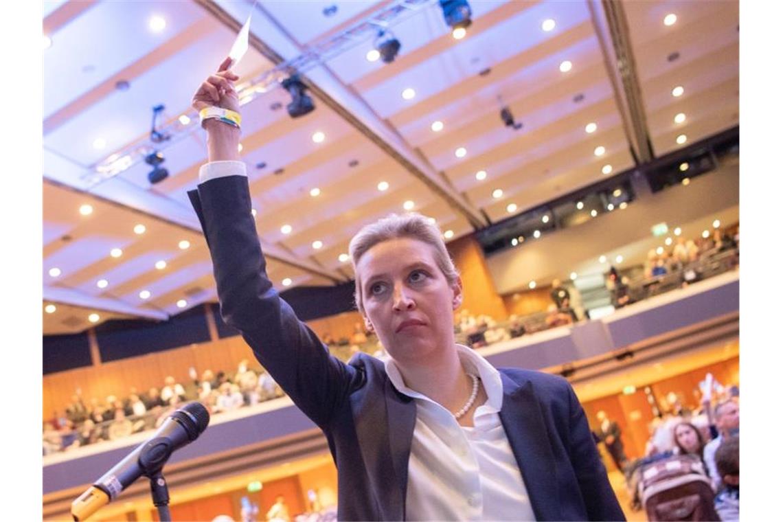 Alice Weidel hält beim AfD-Sonderparteitag ihre Stimmkarte nach oben. Foto: Marijan Murat/dpa