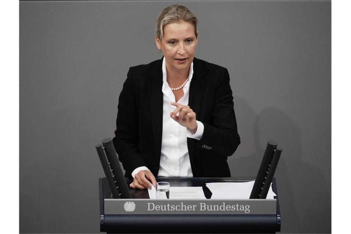 Alice Weidel im Bundestag. Foto: Michael Kappeler/dpa/Archivbild
