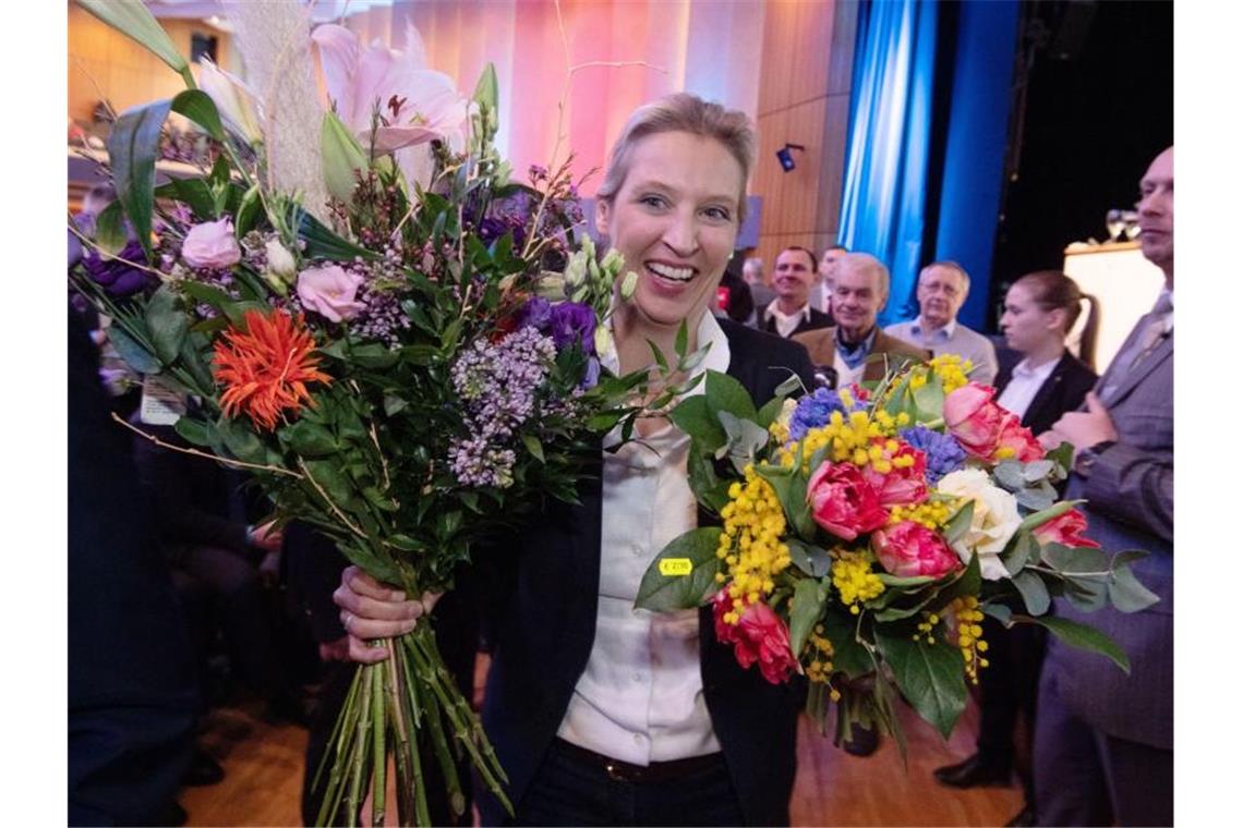 Alice Weidel führt die Südwest-AfD Alice Weidel ist zur Landesvorsitzenden der AfD in Baden-Württemberg gewählt worden. Foto: Marijan Murat/dpa