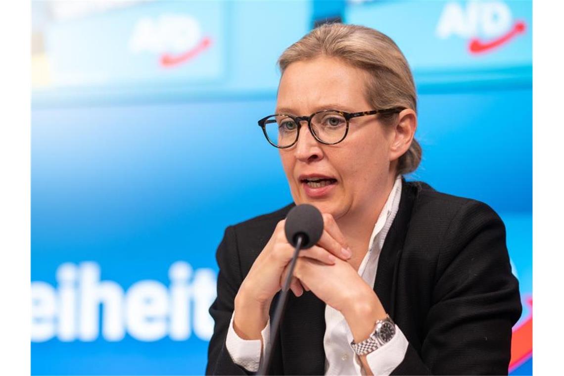 Alice Weidel, Landesvorsitzende der AfD Baden-Württemberg. Foto: Sebastian Gollnow/dpa/Archivbild