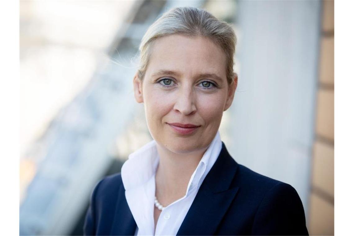 Alice Weidel spricht in einem Interview. Foto: Kay Nietfeld/Archiv