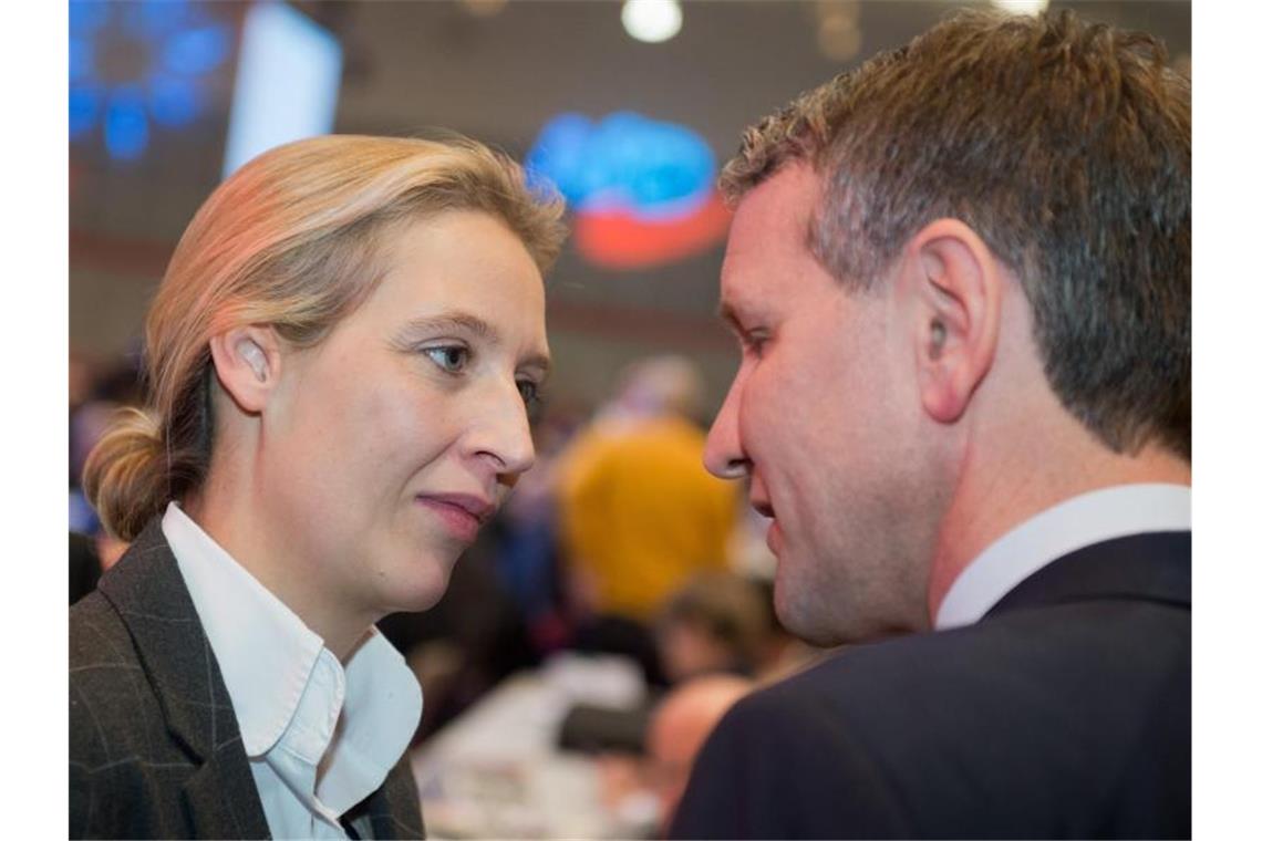 Alice Weidel und Björn Höcke bei einem Bundesparteitag der AfD. Foto: Hauke Christian Dittrich/Archiv