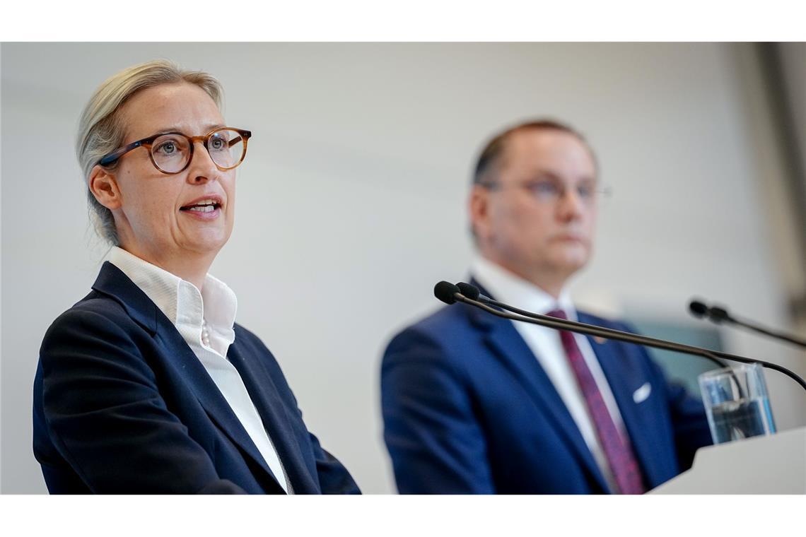 Alice Weidel und Tino Chrupalla stehen gemeinsam an der Spitze der AfD und sind auch Co-Vorsitzende der AfD-Bundestagsfraktion. (Archivfoto)