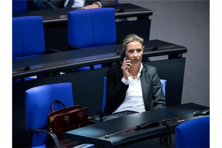 Alice Weidel, Vorsitzende der AfD-Bundestagsfraktion. Foto: Bernd von Jutrczenka/dpa/Archivbild