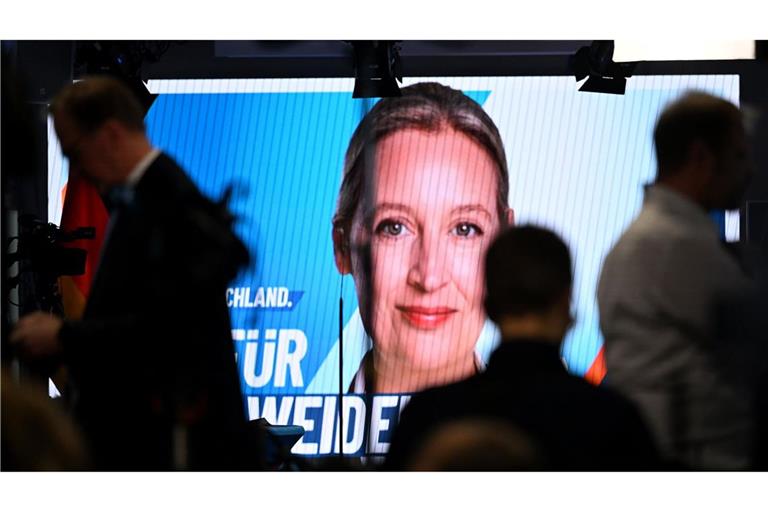 Alice Weidel zieht über die Landesliste für die AfD in den Bundestag ein.
