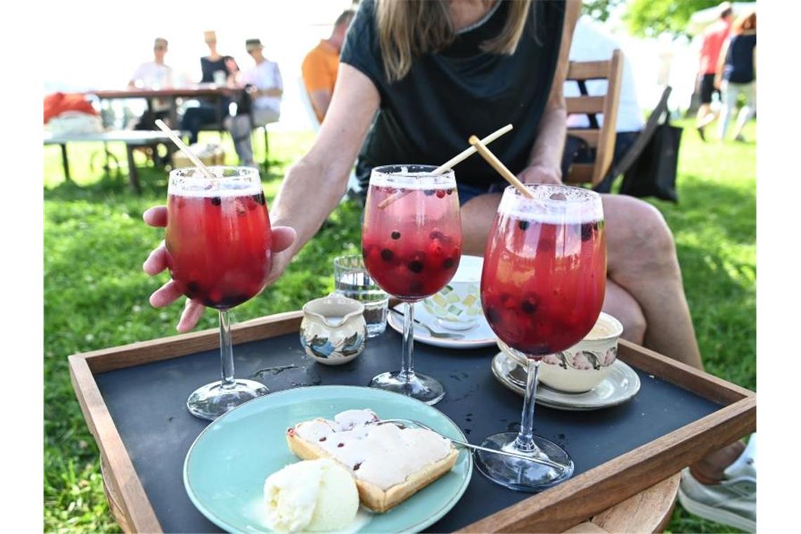 Bier, Wein oder Gin: Alkoholfreie Alternativen sind im Trend Alkoholfreie Alternativen zu Bier, Wein und Spirituosen werden beliebter. Foto: Felix Kästle/dpa