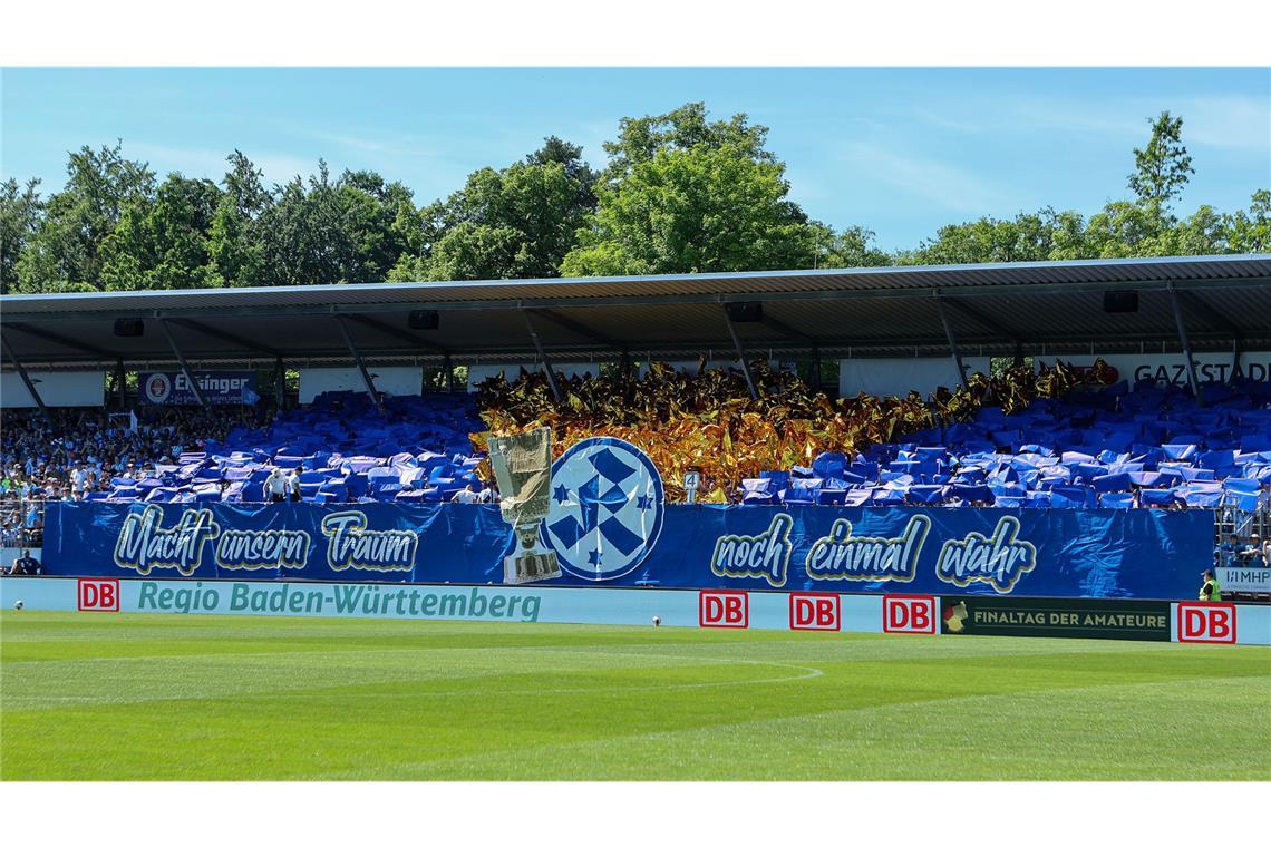 Alles fest in blauer Hand.