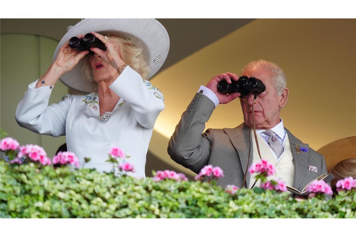 Alles im Blick: Königin Camilla und König Charles III. verfolgen die Rennen auf der Royal Ascot auf der Pferderennbahn.