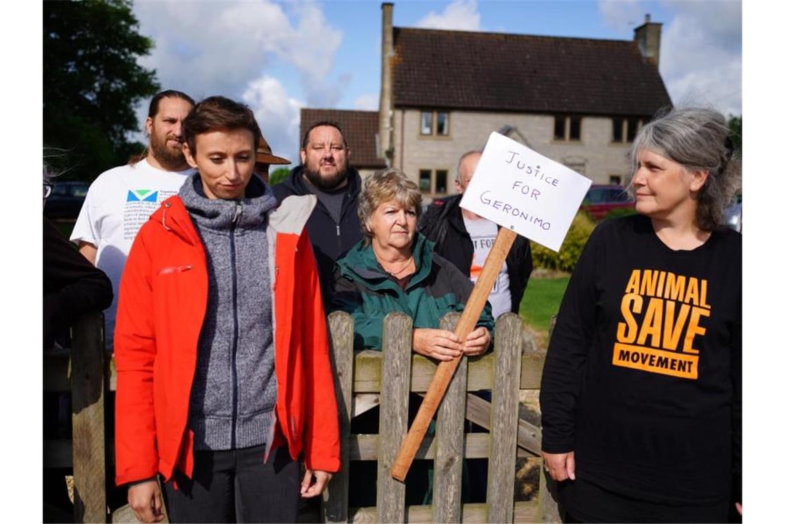 England streitet um Alpaka Geronimo