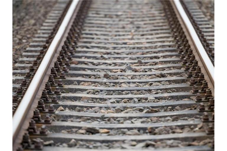 Als Ersatz für den Kampf gegen Unkraut will die Deutsche Bahn künftig auf Heißwasser, elektrischen Strom und UV-Licht setzen. Foto: Patrick Pleul/zb/dpa