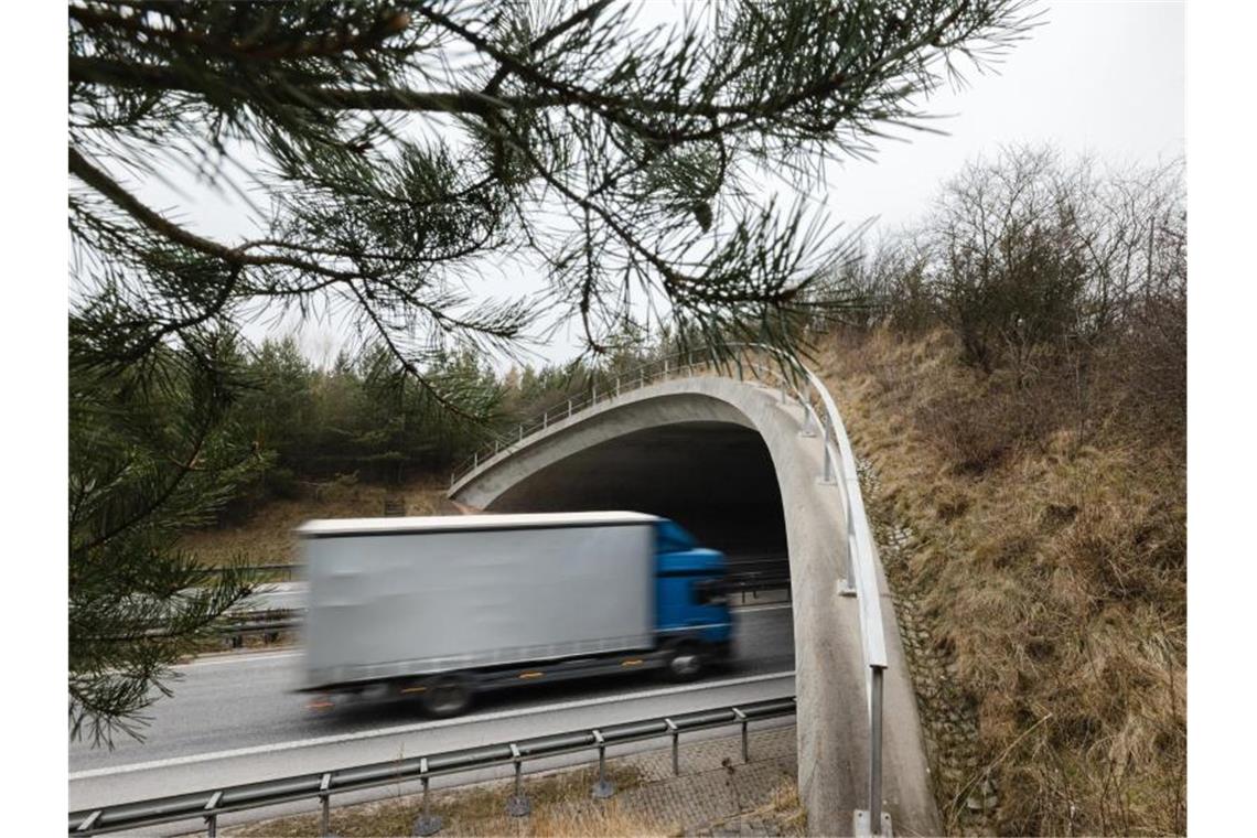 Ukraine-Krieg: Ausfall von über 100.000 Lkw-Fahrern droht Als Folge der Invasion in die Ukraine könnten mehr als 100.000 ukrainische Lkw-Fahrer ausfallen, befürchtet der Verband BGL. Foto: Michael Reichel/dpa-Zentralbild/dpa
