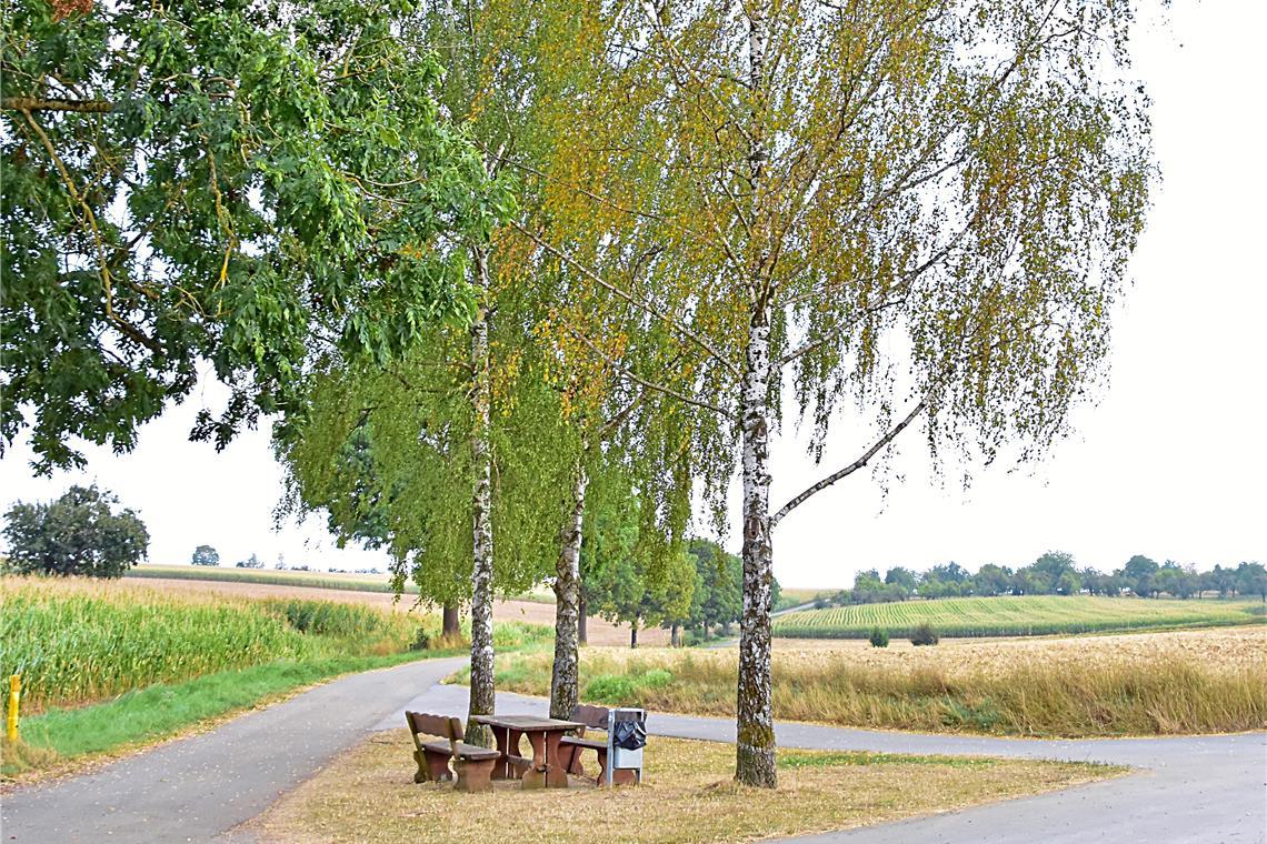 Als „Picknickplatz unter den Birken“ ist die kleine Raststelle zwischen Burgstall und Kirchberg an der Murr ausgewiesen. Foto: Tobias Sellmaier