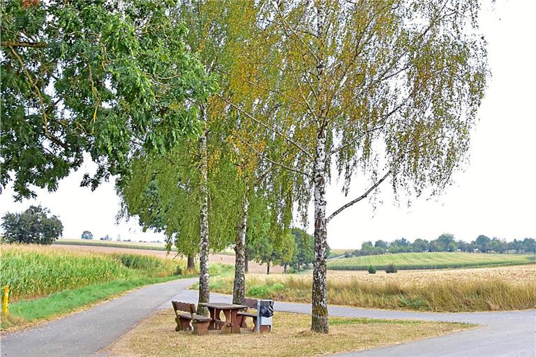 Als „Picknickplatz unter den Birken“ ist die kleine Raststelle zwischen Burgstall und Kirchberg an der Murr ausgewiesen. Foto: Tobias Sellmaier