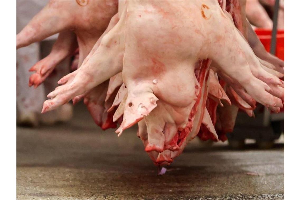 Als Reaktion auf massenhafte Corona-Fälle in Schlachthöfen gelten in der Fleischindustrie künftig strengere Vorschriften. Foto: Jan Woitas/dpa-Zentralbild/dpa