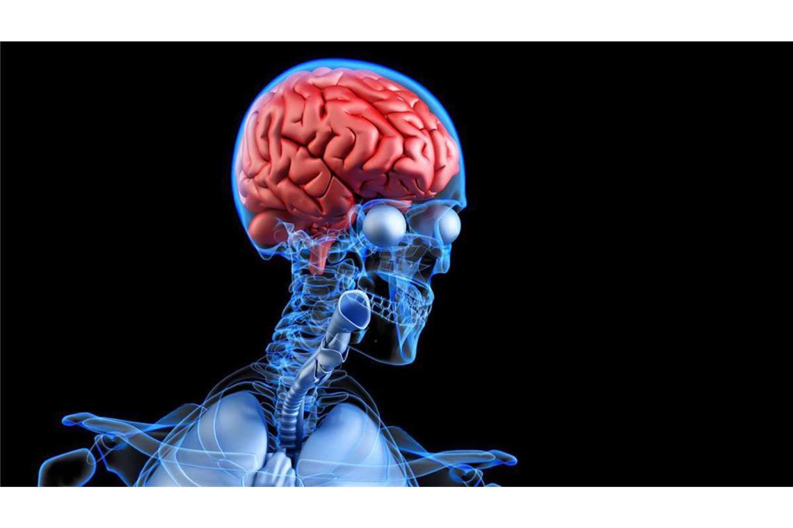 1,4 Millionen Menschen leben mit einer Demenz-Diagnose Alzheimer-Demenz ist bisher unheilbar. Mit Medikamenten kann die Krankheit kaum behandelt werden. Wissenschaft und Industrie forschen mit großem Aufwand, um endlich einen Durchbruch zu erreichen.