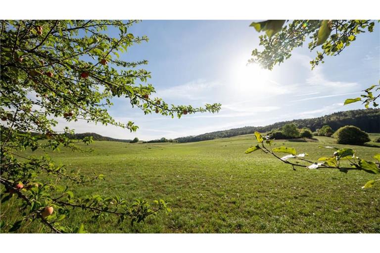 Am 1. September war meteorologischer Herbstanfang, doch in Baden-Württemberg wird sommerliches Wetter erwartet.