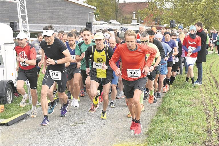 Am 18. Mai fällt in der Limesstadt der Startschuss, im weiteren Jahresverlauf stattet der Tross der Läufer auch Auenwald, Neuhütten und Aspach einen Besuch ab.Foto: T. Sellmaier