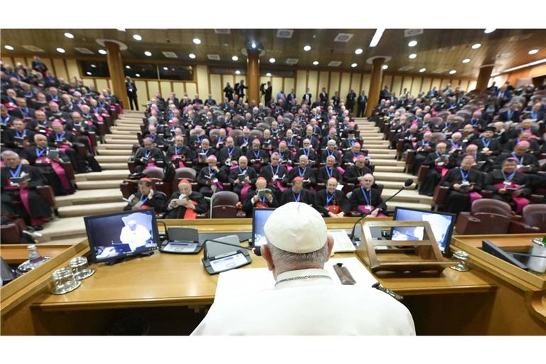 Am 20. Mai 2024 traf der Papst die italienischen Bischöfe im Vatikan. Dort sagte er dann auch den Satz: „C’è già troppa frociaggine “ – „Es gibt schon zu viel Schwuchtelei.“