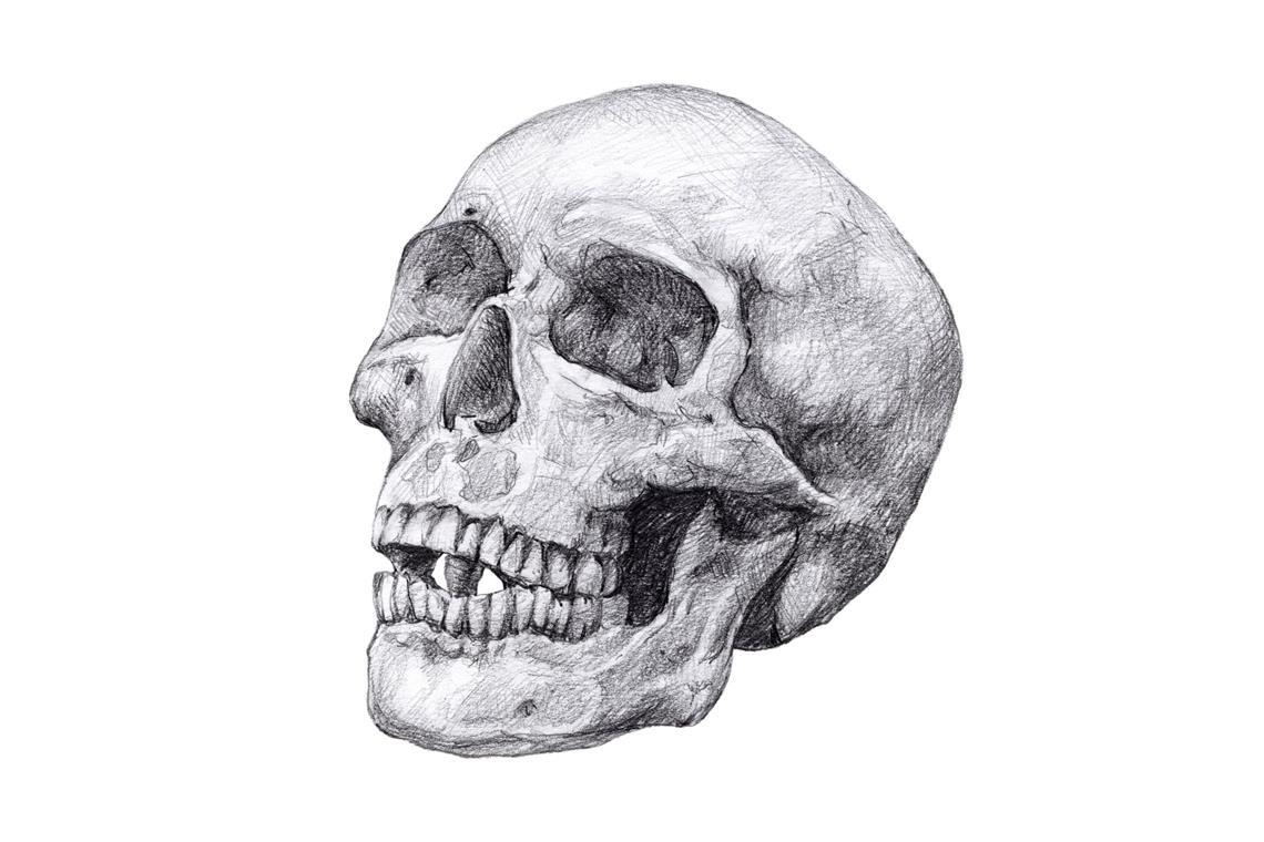 Am archäologischen Fundplatz Vráble Vel’ke-Lehemby in der Slowakei sind Dutzende Skelette ohne Kopf gefunden worden. Wo befinden sich die Köpfe?