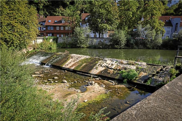 Am Biegelwehr soll nun eine günstigere Lösung für den Fischaufstieg gefunden werden. Foto: Alexander Becher