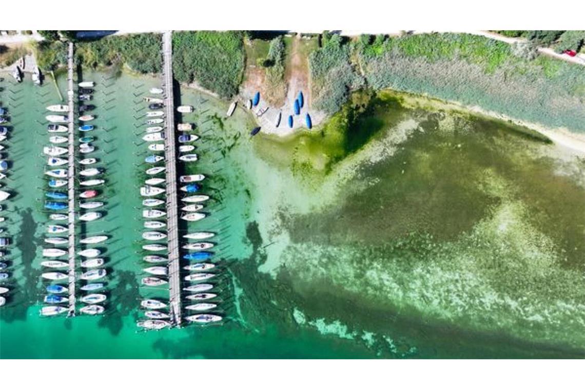 Am Bodensee werden täglich neue Minimalwerte für den jeweiligen Tag gemessen.