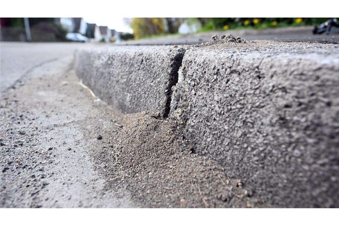 Am Bordstein einer Straße sind Schäden zu sehen, die durch Ameisen hervorgerufen wurden. (Archivbild)