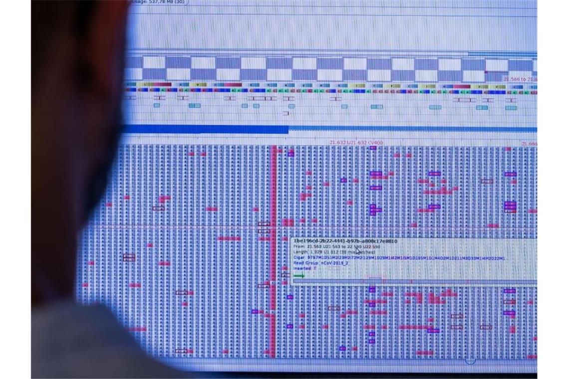 Am Computermonitor sucht Christian Kohler im Sequenzierlabor für Corona-Varianten (CoMV-Gen) in der Universitätsmedizin Greifswald nach neuen Varianten und Mutationen des Corona-Virus. Foto: Jens Büttner/dpa-Zentralbild/dpa