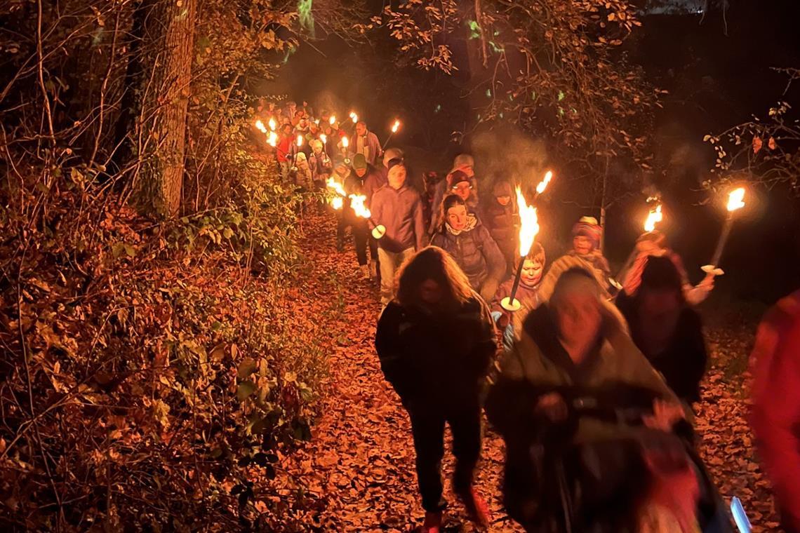 Am Ebnisee gibt es eine Fackelwanderung. Symbolfoto: privat